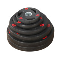 Rubber Coated Cast Iron Weight Lifting Dumbbell Plate